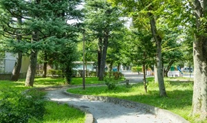 世田谷区立小泉公園