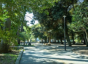 若林公園