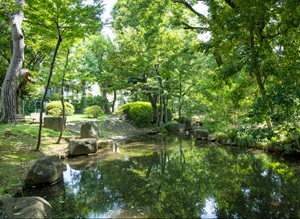 駒沢緑泉公園