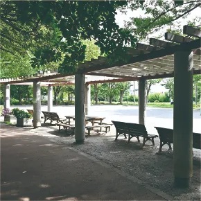 与野中央公園