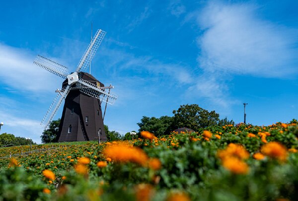 花博記念公園鶴見緑地
