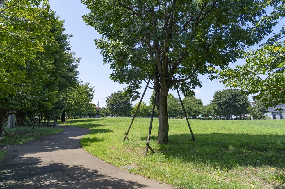 区立 中村かしわ公園