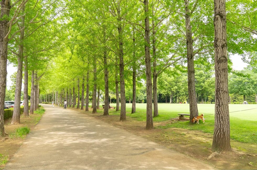 科学万博記念公園