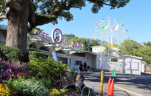 市立王子動物園