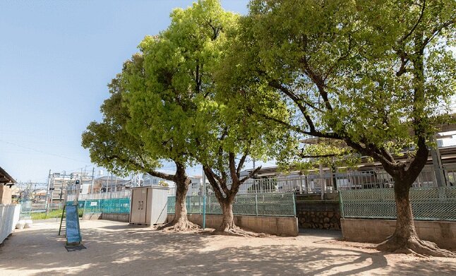 稲野自動遊園地