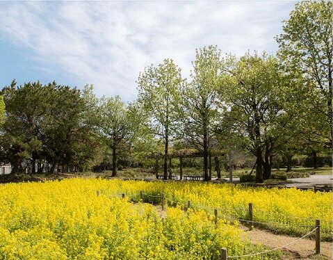 尼崎市立農業公園