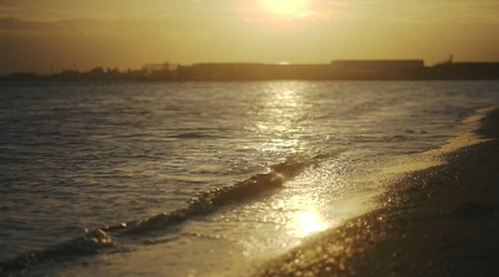ふなばし三番瀬海浜公園