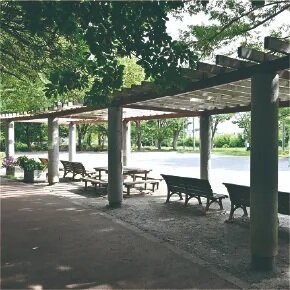 与野中央公園
