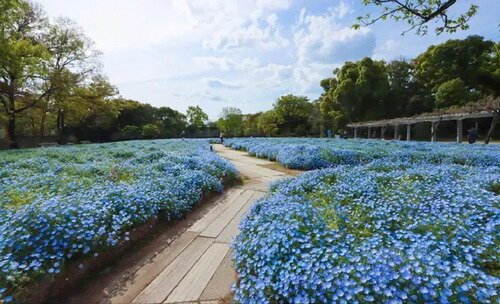 大阪市立長居植物園