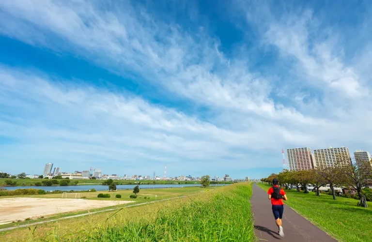 江戸川河川緑地・サイクルロード