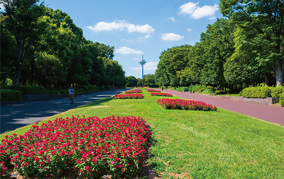 所沢航空記念公園