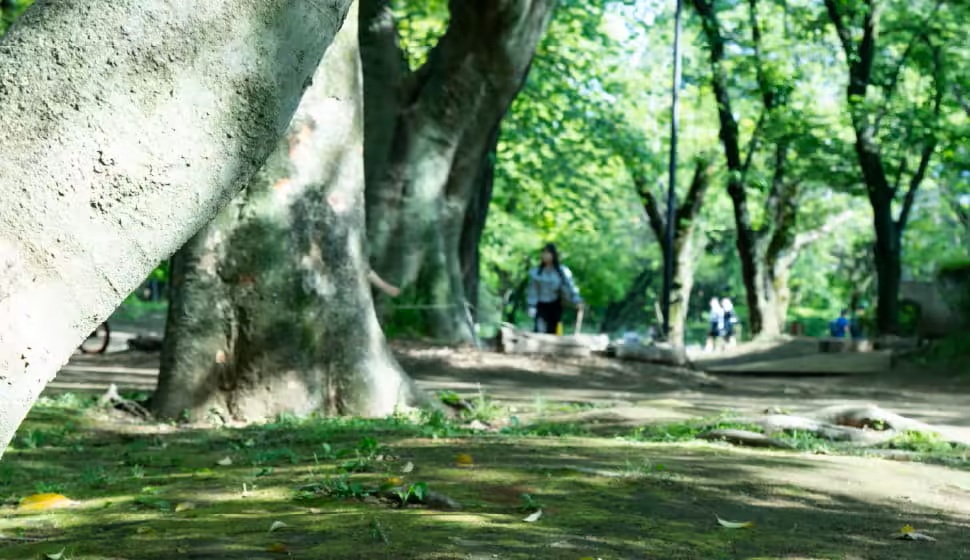 駒場公園