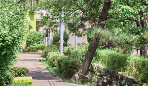 篠田堀親水緑道