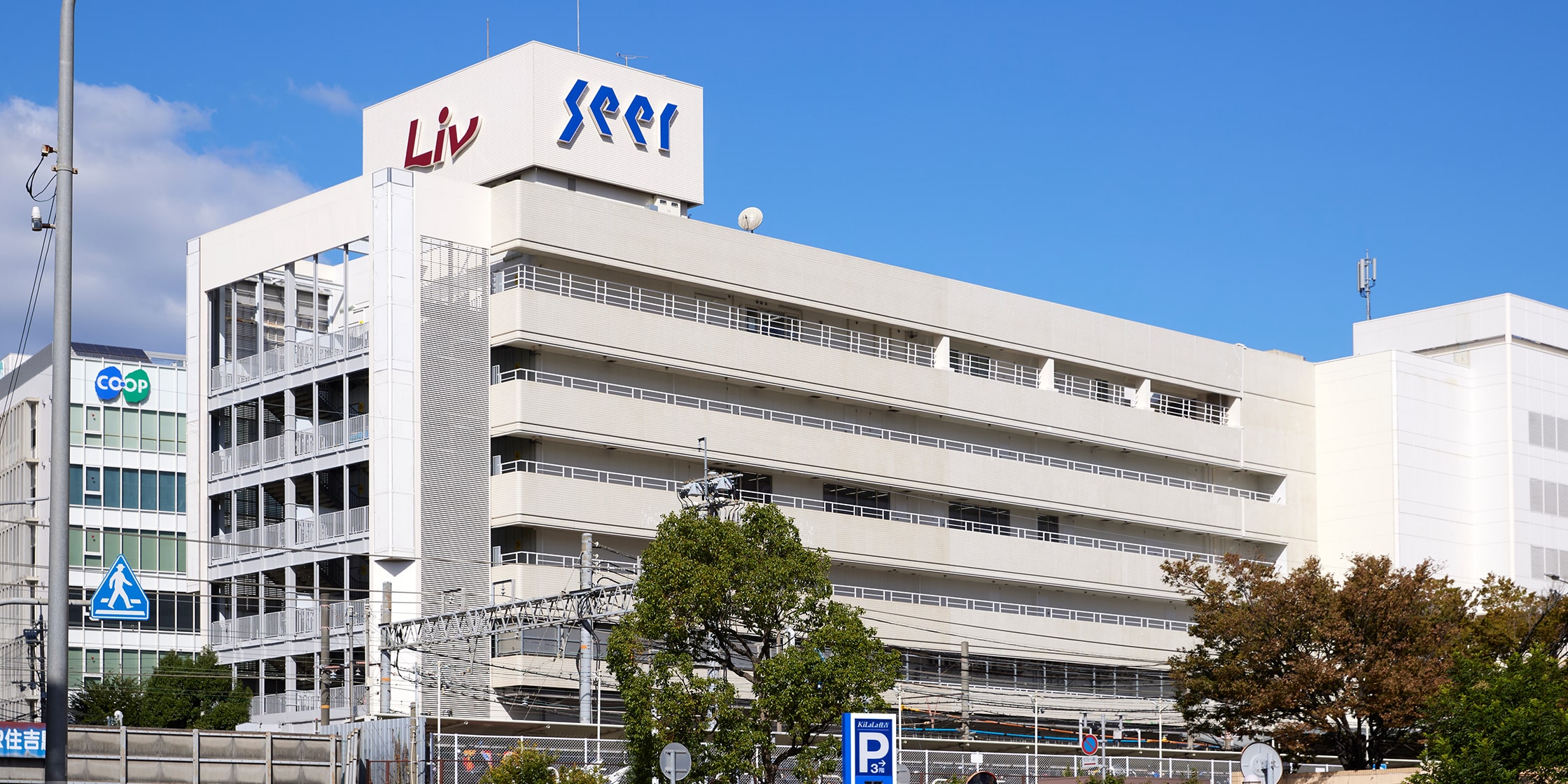 Liv・シーア