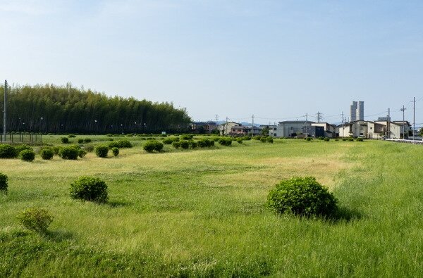 楠葉台場跡史跡公園