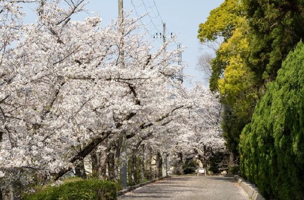枚方市市民の森