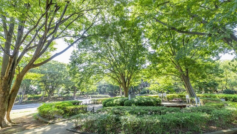 北習志野近隣公園