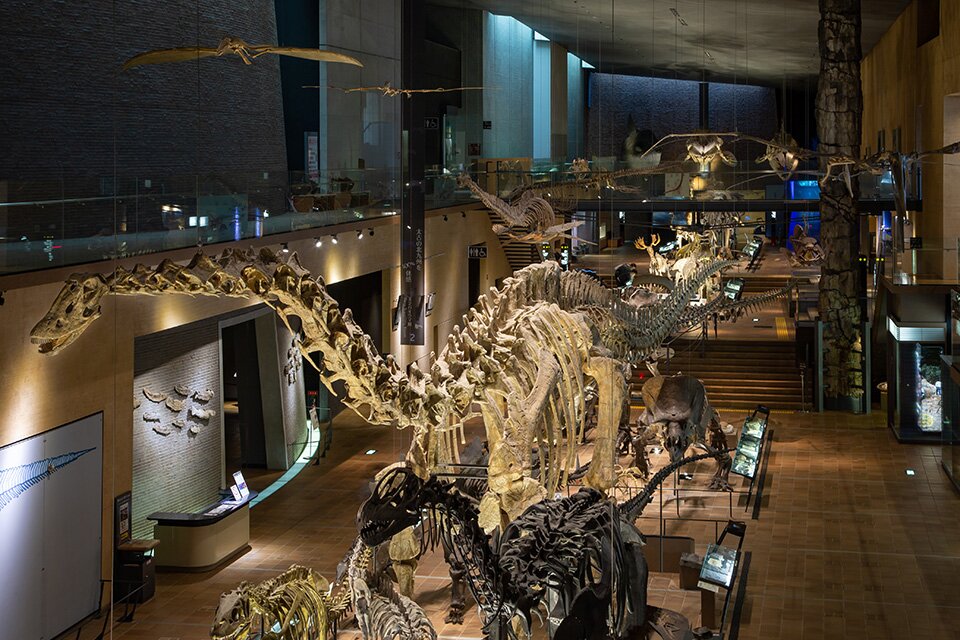 北九州市立いのちのたび博物館
（北九州市立自然史・歴史博物館）