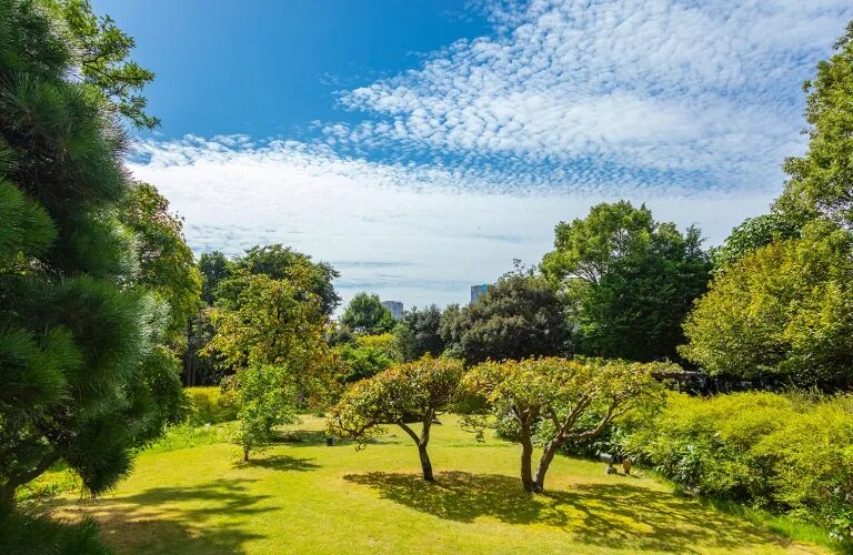 芳澤ガーデンギャラリー