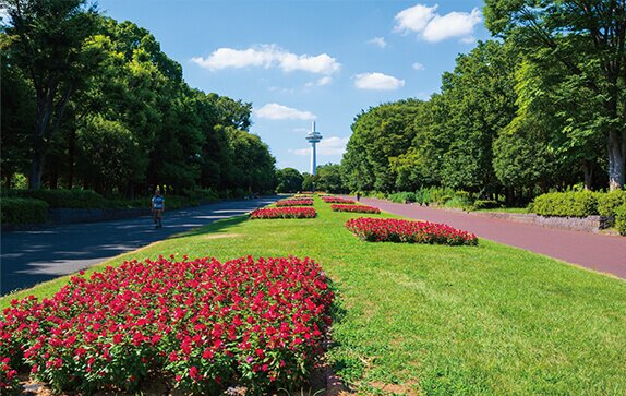 所沢航空記念公園