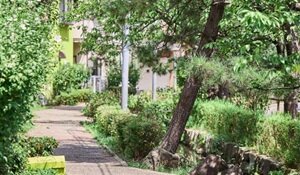 篠田堀親水緑道