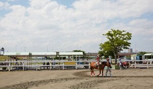 篠崎ポニーランド