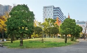 中野四季の森公園 
〈中野セントラルパーク内〉