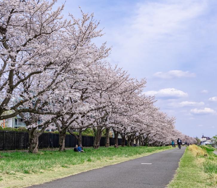 多摩川緑地くじら運動公園