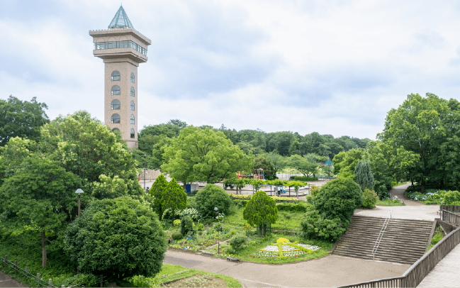 相模原麻溝公園