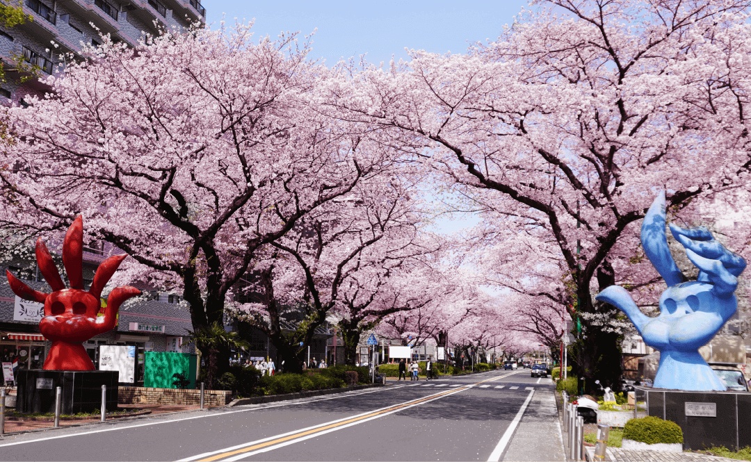 市役所さくら通り