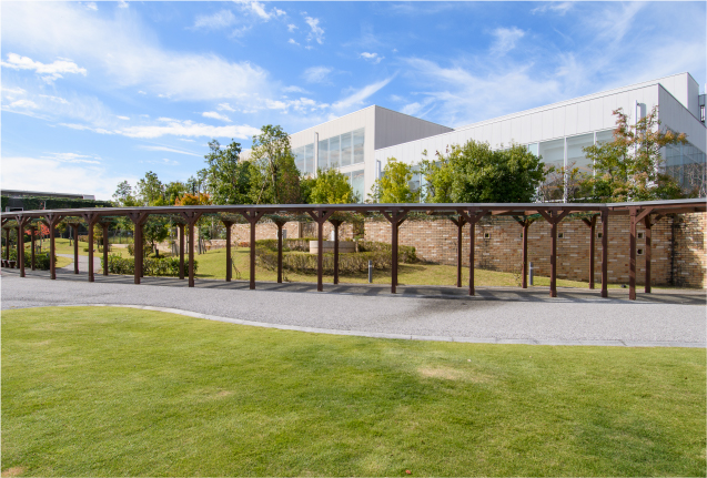 出会いの杜公園