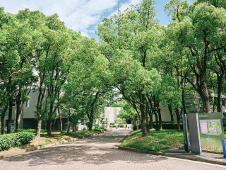 九州大学大橋キャンパス