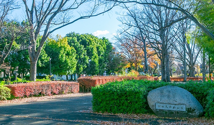 富士見中央近隣公園