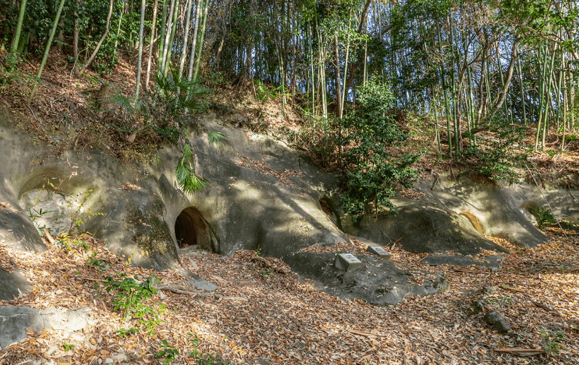 市ケ尾遺跡公園