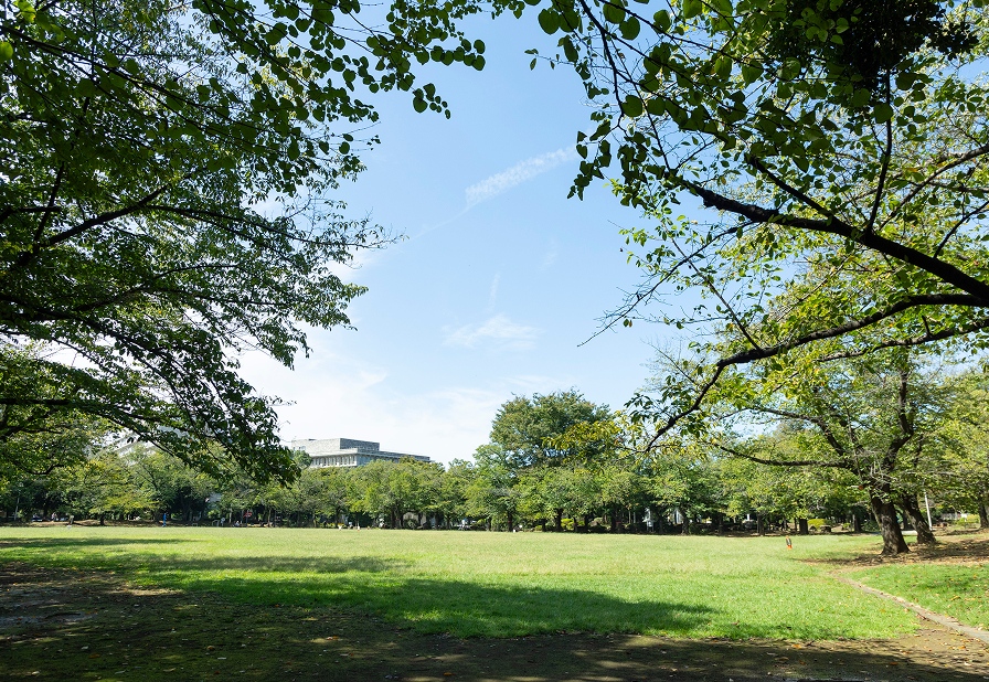 蕨市民公園