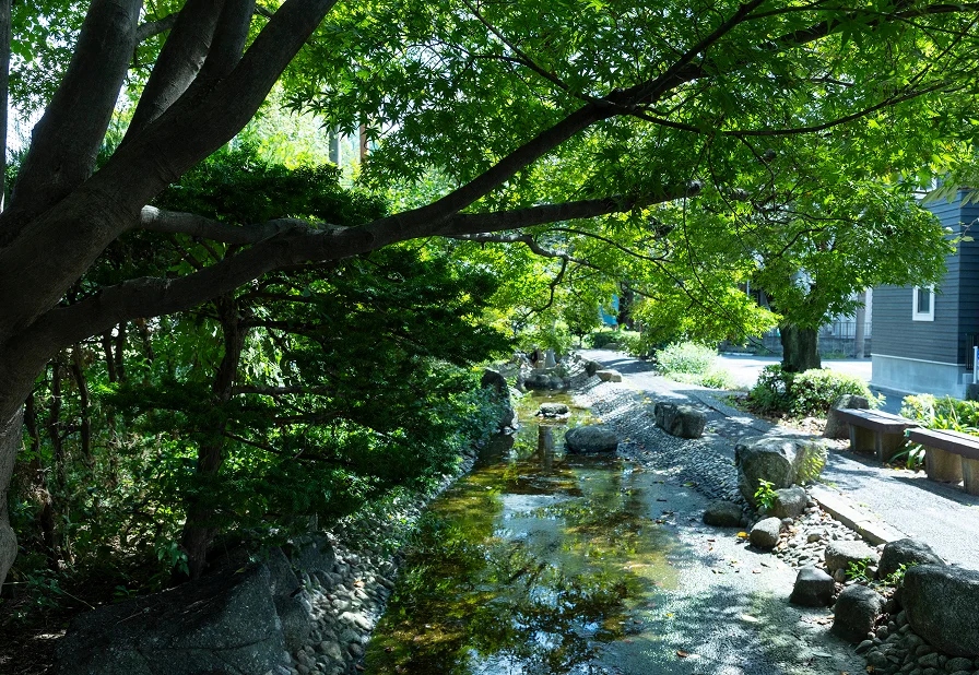 南町桜並木遊歩道