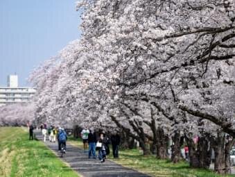 多摩川堤防沿い