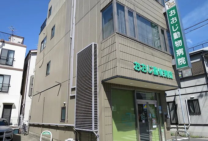 おおじ動物病院