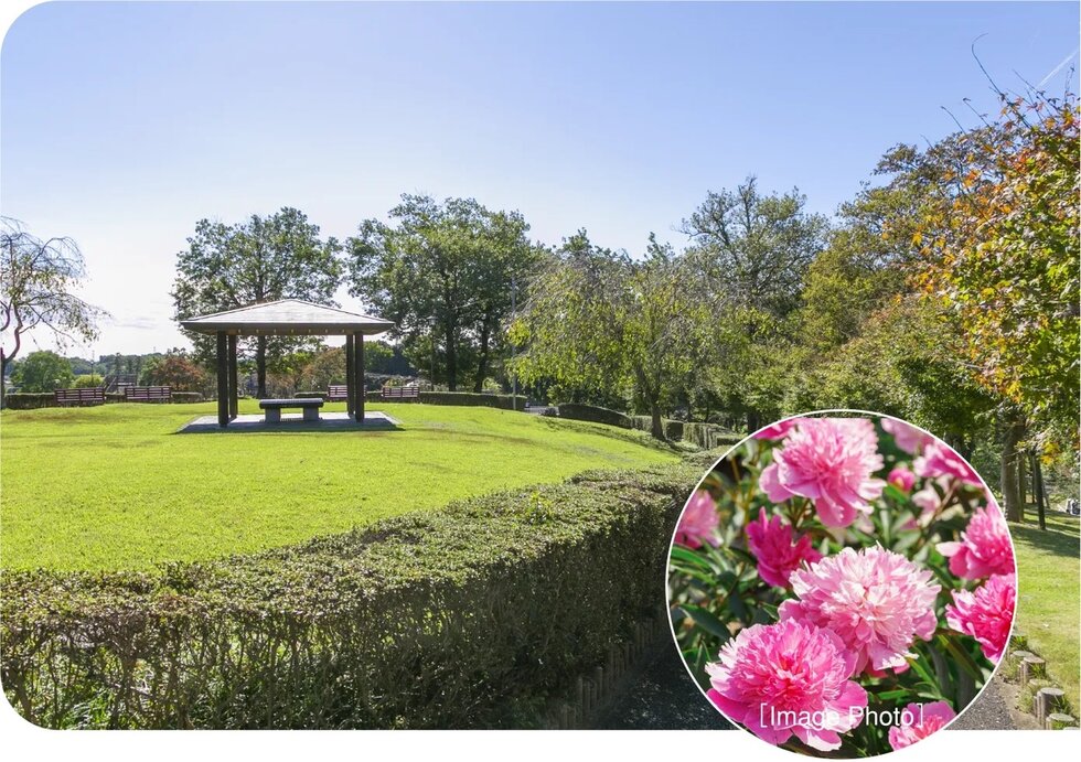 東松山ぼたん園