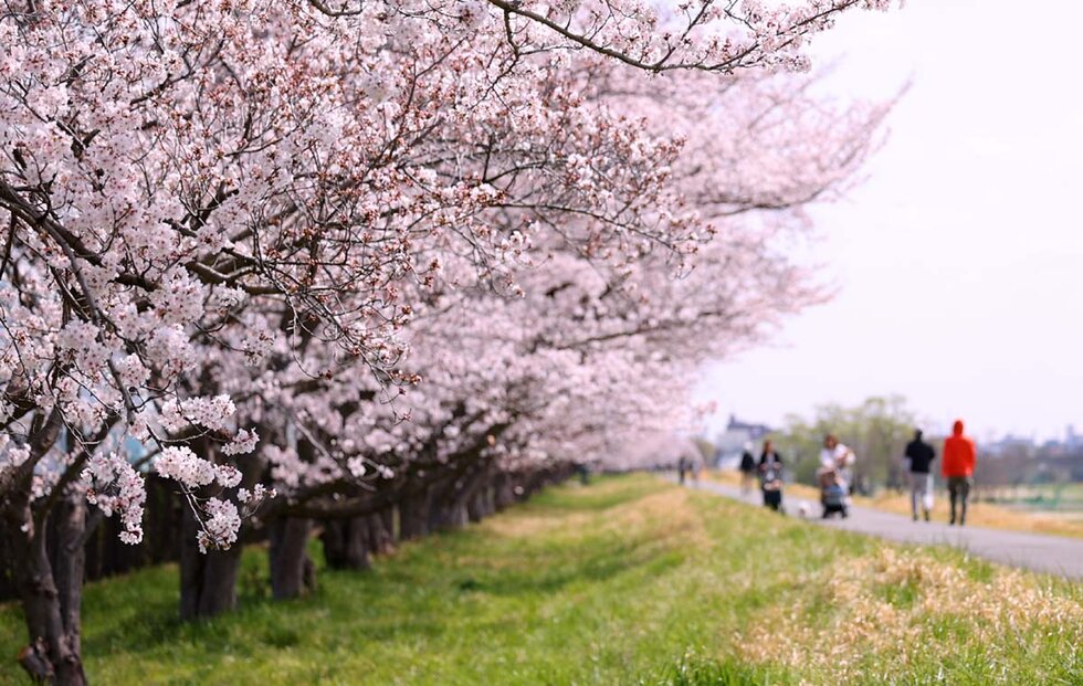 くじら運動公園