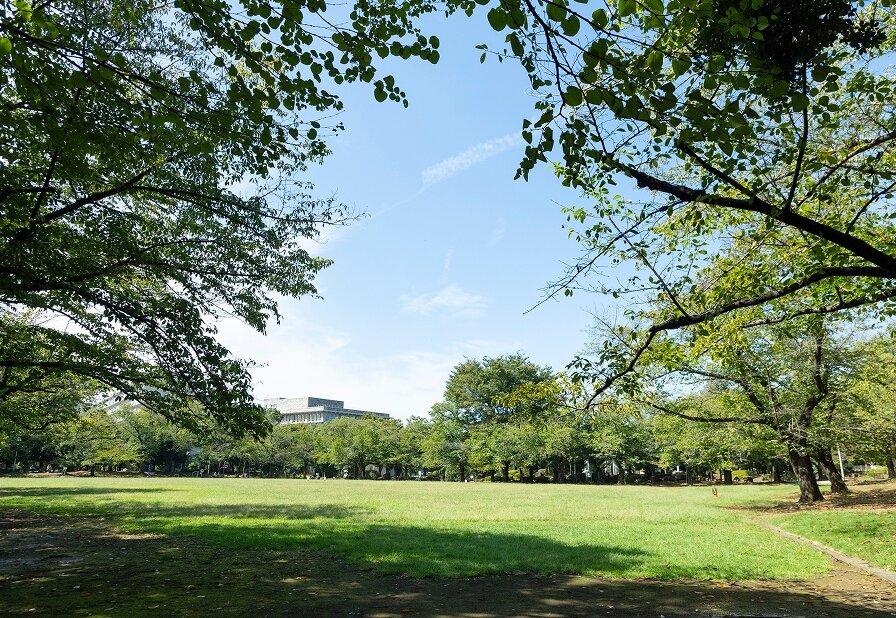 蕨市民公園