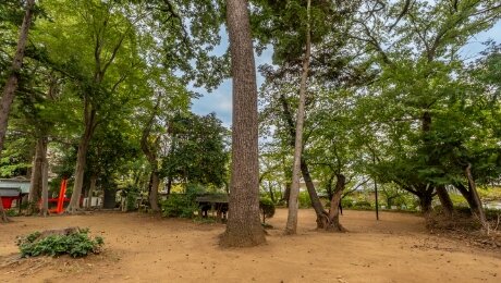 大谷場氷川神社 ふるさとの森
