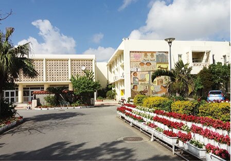 琉球大学附属小学校