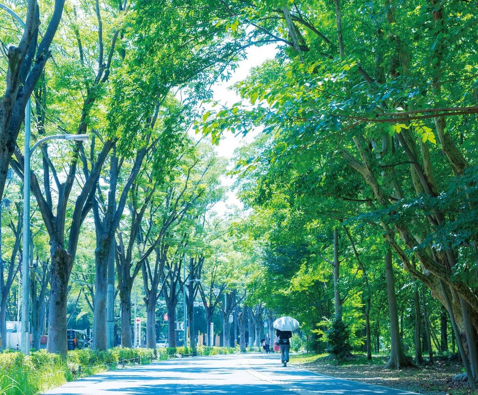 朝霞シンボルロード