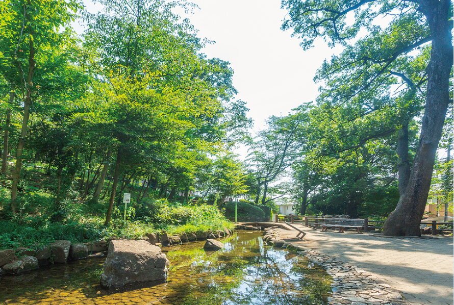 滝の根公園