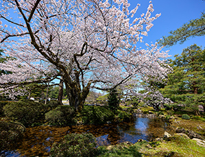 兼六園
