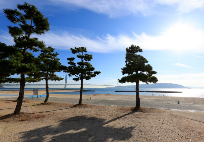 大蔵海岸 海水浴場