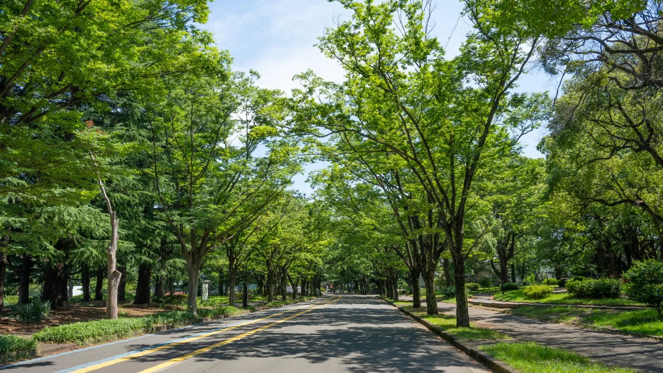 駒沢オリンピック公園