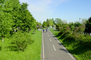 白石こころーど