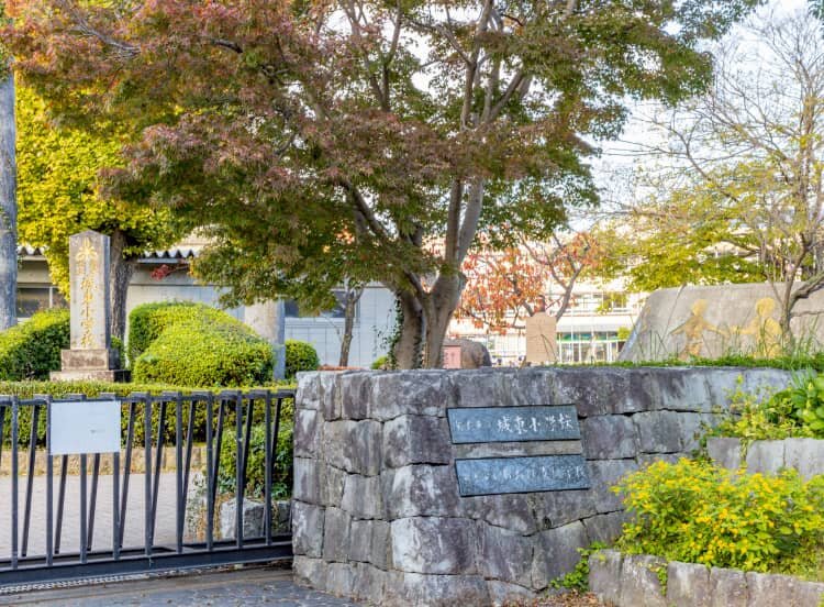 熊本市立城東小学校（許可校）